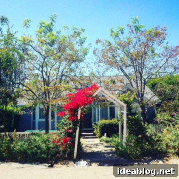 Oakland and Sonoma's Culinary Gems 3 Oakland California