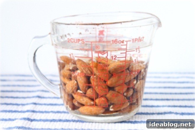 Handcrafted Maple Vanilla Almond Milk 4 Soaked Whole Almonds for Milk