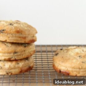 Homemade Cinnamon Raisin English Muffins 6 Baked Cinnamon Raisin English Muffins ready to eat