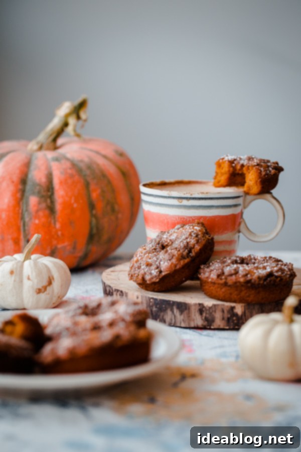 Golden Baked Pumpkin Doughnuts with Cardamom Streusel 6 Baked Pumpkin Doughnuts with Cardamom Crumble. So EASY, fluffy, and cozy!