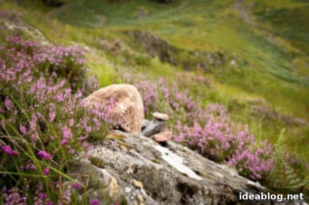 Adventures Beyond the Door 3 scottish highlands - picturesque mountain and loch scenery