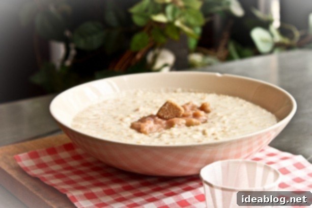 Adventures Beyond the Door 5 oatmeal - organic Scottish oatmeal with rhubarb compote