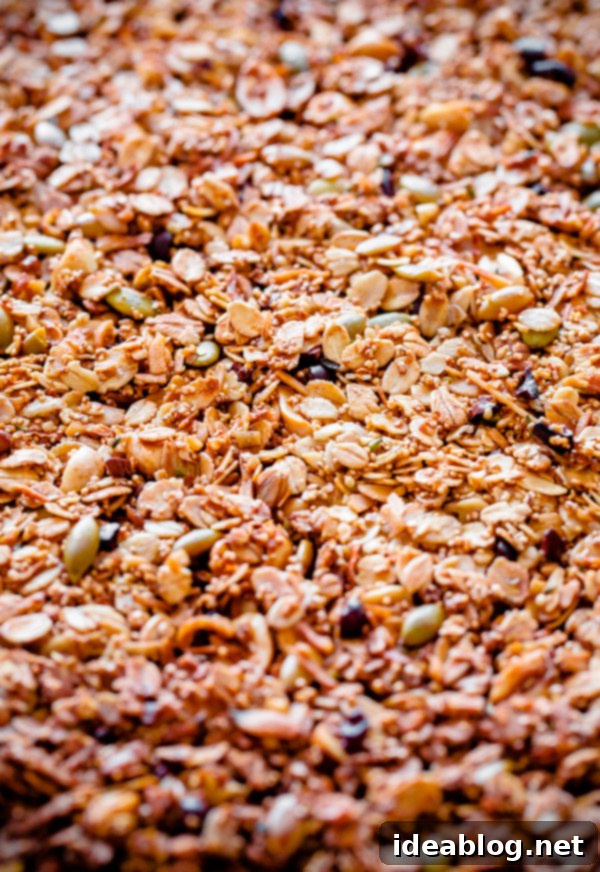 Mexican Granola with Cocao Nibs and Pumpkin Seeds. A salty and sweet healthy granola! Mexican Granola with Cocao Nibs and Pumpkin Seeds