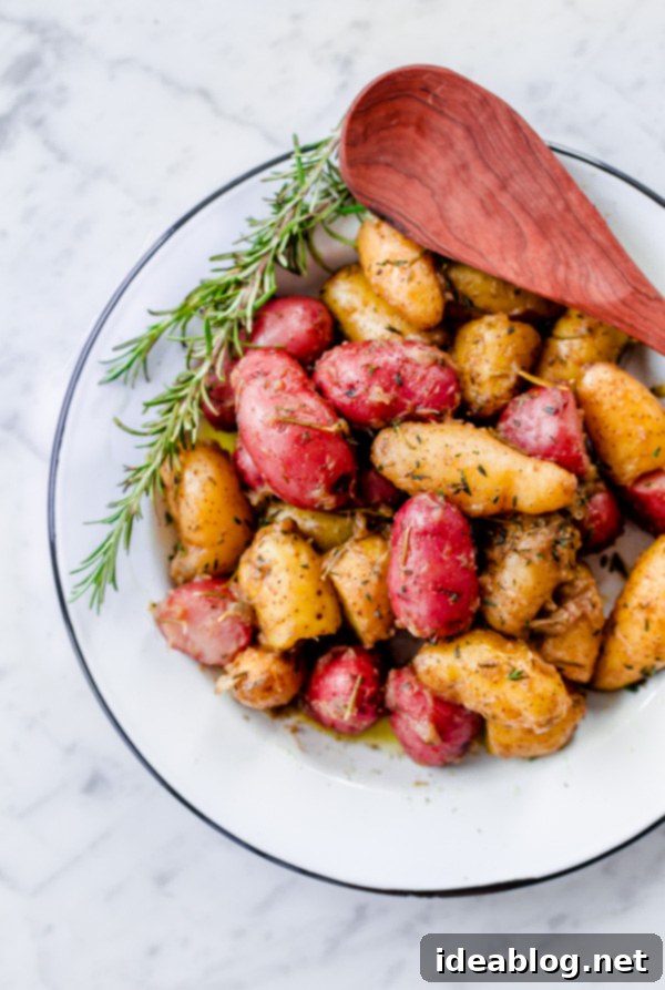 Braised Fingerling Potatoes with Garlic, Shallots, and Fresh Herbs. A cozy, easy-to-prepare side dish recipe for fall!  Braised Fingerling Potatoes with Garlic, Shallots, and Fresh Herbs
