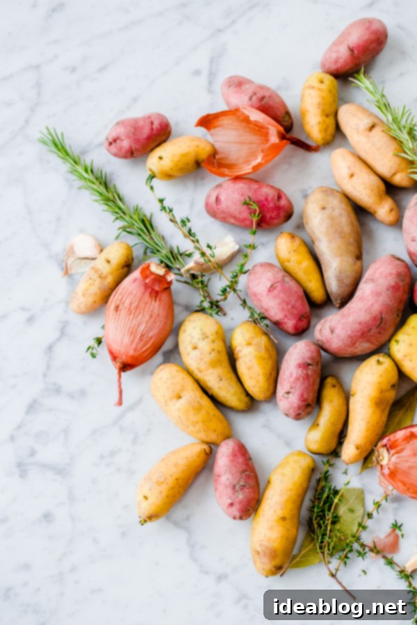 Braised Fingerling Potatoes with Garlic, Shallots, and Fresh Herbs. A cozy, easy-to-prepare side dish recipe for fall!  Close-up of uncooked fingerling potatoes, ready for braising