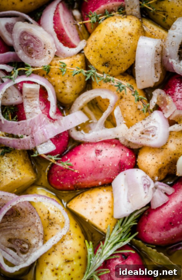 Braised Fingerling Potatoes with Garlic, Shallots, and Fresh Herbs. A cozy, easy-to-prepare side dish recipe for fall!  Braised Fingerling Potatoes coated in a rich glaze