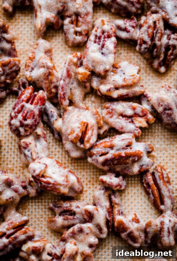 Spiced Pumpkin Drumsticks with Chocolate Pecan Crunch 7 Candied Pecans