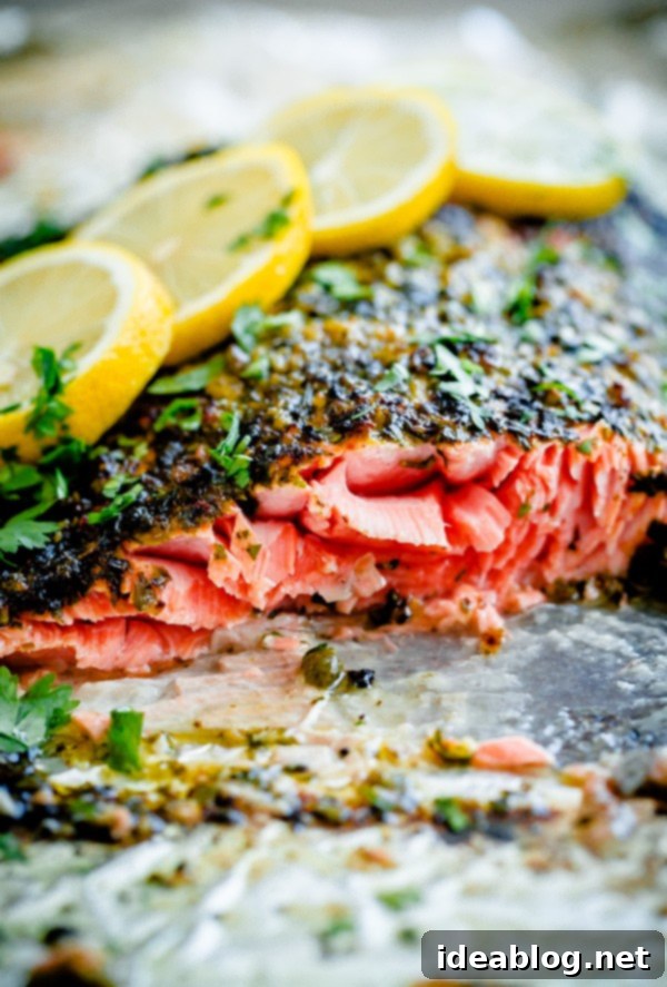 Quick and Easy Broiled Salmon with Chermoula for Busy Weeknights Perfectly Broiled Salmon with Chermoula Herb Crust Ready for Serving
