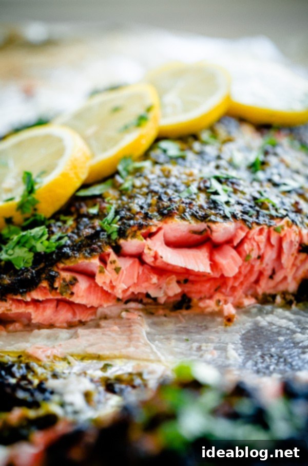 Serving Broiled Salmon with Zesty Chermoula and Fresh Lemon Plated Broiled Salmon with Chermoula Herb Crust and Lemon Wedges