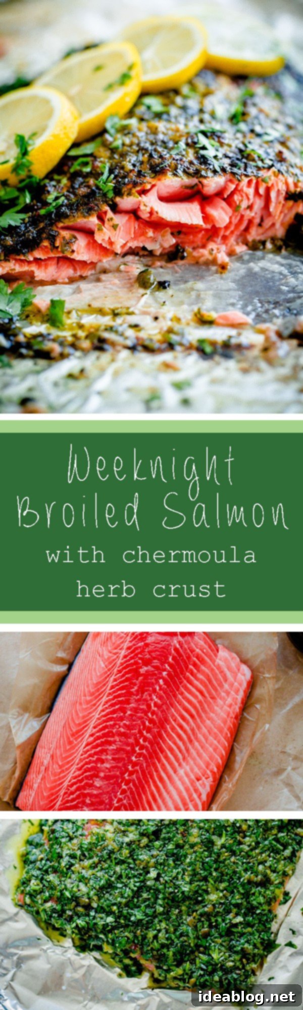 Weeknight Broiled Salmon with Chermoula Herb Crust. This recipe can be prepared in less than 20 minutes and makes a great, flavorful weeknight dinner!  Weeknight Broiled Salmon with Chermoula Herb Crust