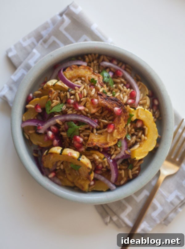 12 Soul-Satisfying Autumn Salads 11 Farro Salad with Delicata Squash and Pomegranates - a hearty fall salad featuring wholesome grains and seasonal produce.