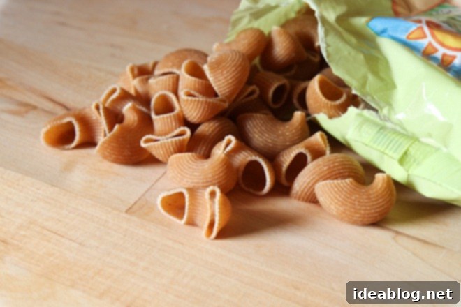 Fiery Italian Sausage & Rapini Pasta 3 Traditional Chiocciole Pasta with Savory Sauce