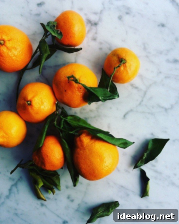 The Sunday Scroll 2 Winter Satsumas