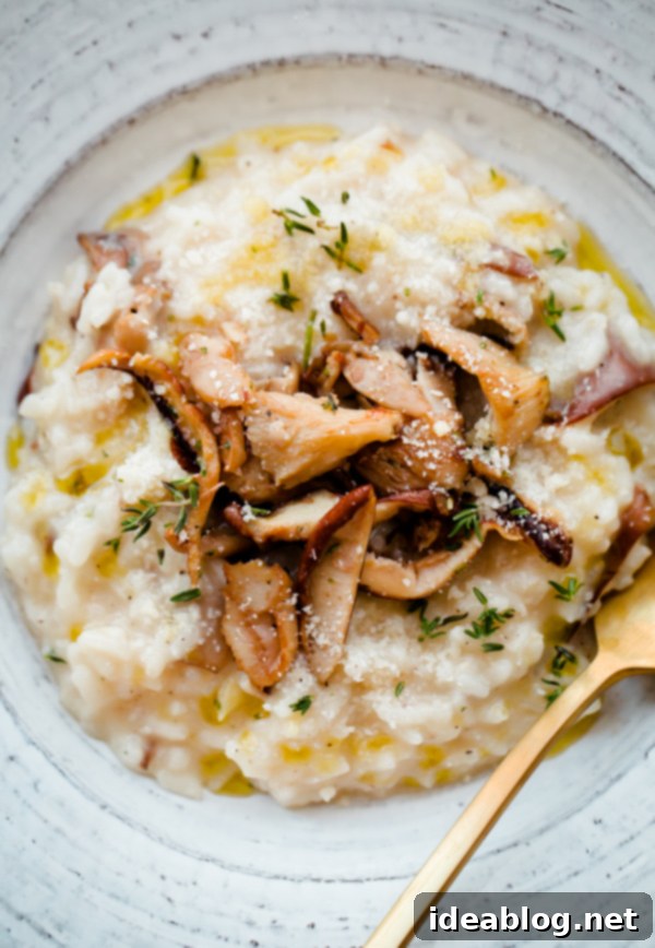 Effortless No-Stir Mushroom Risotto 2 Easy No Stir Mushroom Risotto - a delicious and creamy vegetarian dish with mushrooms and herbs