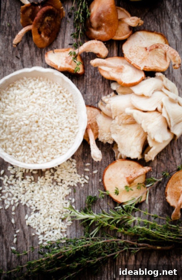 Effortless No-Stir Mushroom Risotto 3 Ingredients for Easy No Stir Mushroom Risotto including rice, mushrooms, wine, and broth