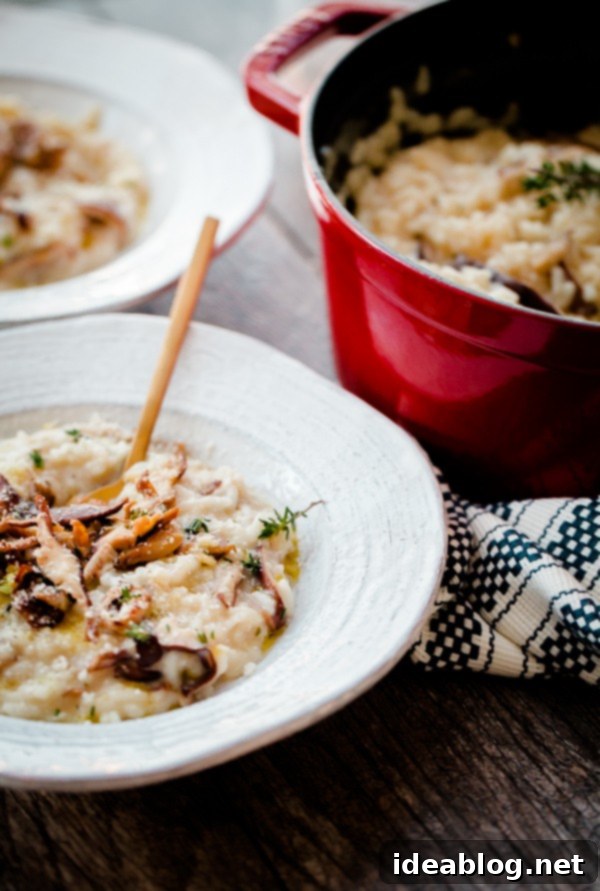 Effortless No-Stir Mushroom Risotto 4 Cooking Easy No Stir Mushroom Risotto in a Dutch oven
