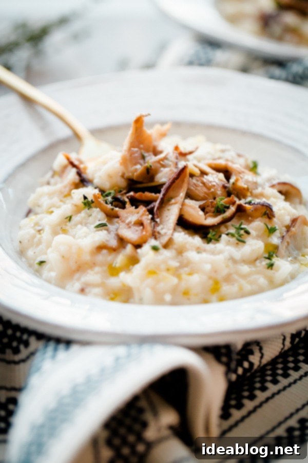 Effortless No-Stir Mushroom Risotto 6 No Stir Mushroom Risotto garnished with fresh herbs and Parmesan cheese