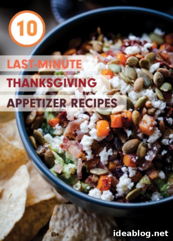No-Stress Thanksgiving Apps: 10 Speedy Ideas 2 10 Last-Minute Thanksgiving Appetizer Recipes - easy and simple appetizers that will impress!