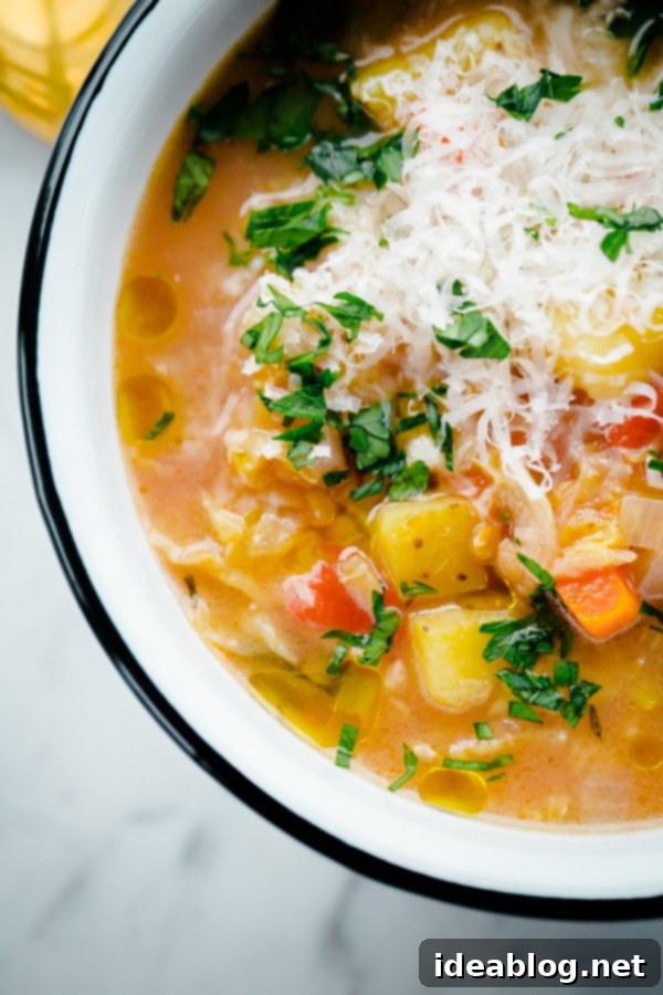 Slow Cooker Winter Comfort Lentil Soup 3 Slow cooker winter vegetable soup garnished with fresh parsley and grated Parmesan cheese