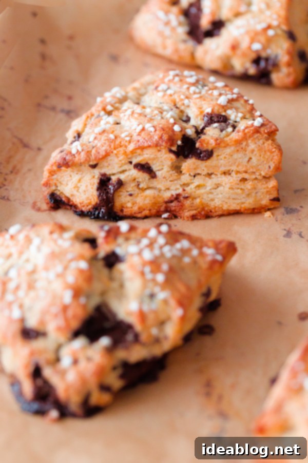 Bright Orange Chocolate Chunk Scones with Zesty Citrus Drizzle 3 Freshly baked orange chocolate chunk scones cooling on a rack, ready for glazing. These homemade cream scones are quick to make and perfect for holiday breakfasts.