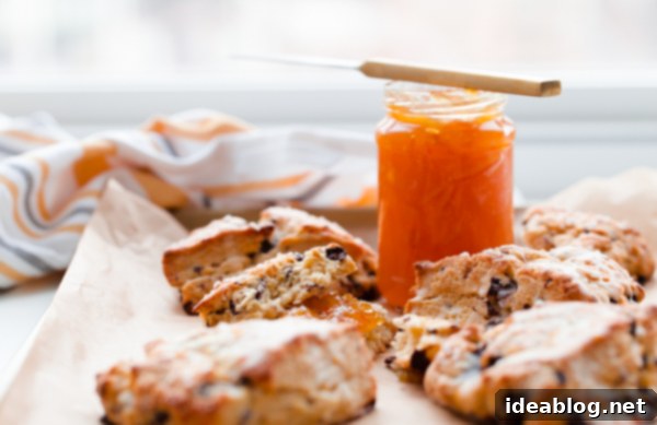 Bright Orange Chocolate Chunk Scones with Zesty Citrus Drizzle 4 Close-up of a perfectly baked orange chocolate chunk scone, showing its flaky layers and melted chocolate. Ideal for easy entertaining or family treats.