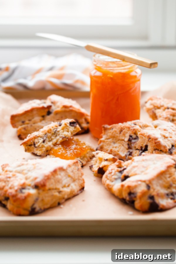 Bright Orange Chocolate Chunk Scones with Zesty Citrus Drizzle 6 A single orange chocolate chunk scone on a white plate, showcasing its golden crust and delicate glaze. A perfect individual serving.