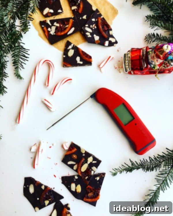The Sunday Sentinel 2 Thermapen Giveaway