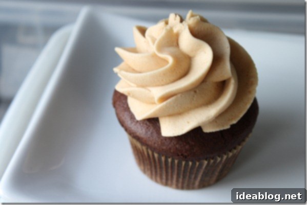 Mastering Workplace Hazards 4 Rich peanut butter chocolate cupcake with frosting swirl