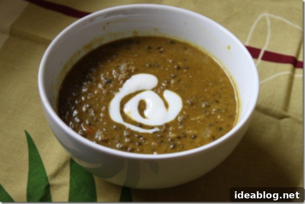 Spiced Lentil Comfort 2 Curried Lentil Soup
