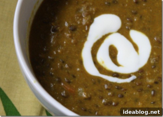 Spiced Lentil Comfort 3 Curried Lentil Soup
