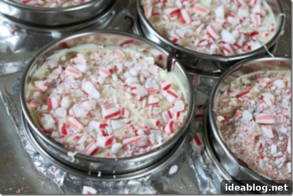 Irresistible Homemade Peppermint Bark 5 Shaped Peppermint Bark
