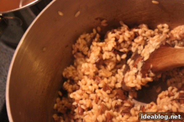Romantic Porcini Risotto 6 Porcini Mushroom Risotto