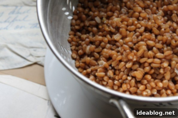 Hearty Wheat Berry Caesar 3 Cooked Wheat Berries
