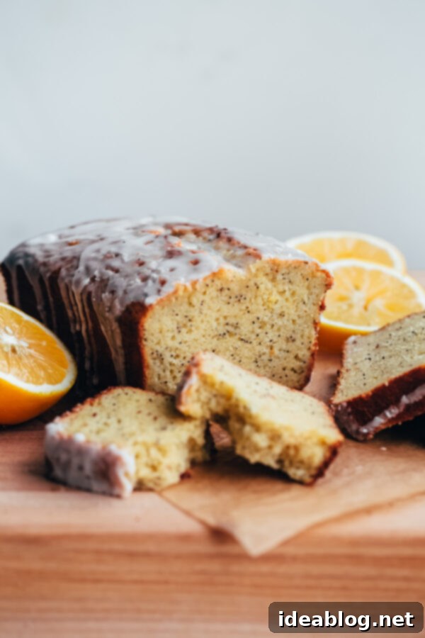 Rustic Olive & Poppy Seed Lemon Loaf 2 Whole Grain Olive Oil Lemon Poppy Seed Loaf with Meyer Lemon Glaze