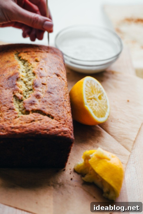 Rustic Olive & Poppy Seed Lemon Loaf 3 Whole Grain Olive Oil Lemon Poppy Seed Loaf