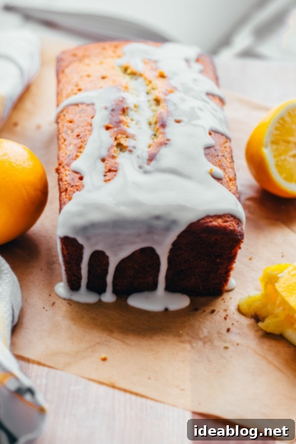 Rustic Olive & Poppy Seed Lemon Loaf 5 Whole Grain Olive Oil Lemon Poppy Seed Loaf with Meyer Lemon Glaze