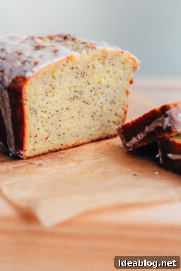 Rustic Olive & Poppy Seed Lemon Loaf 6 Whole Grain Olive Oil Lemon Poppy Seed Loaf with Meyer Lemon Glaze