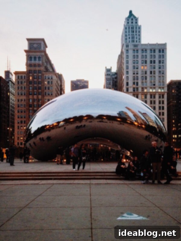 Musings on Blogging and the Writing Craft 2 Chicago Bean