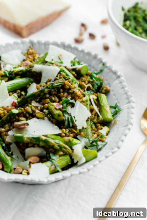 Roasted Asparagus Wheat Berry Salad with Zesty Arugula Pistachio Pesto 3 Roasted asparagus wheat berry salad with arugula pistachio pesto