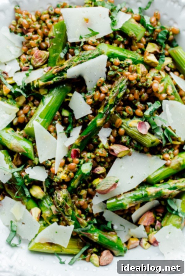 Roasted Asparagus Wheat Berry Salad with Zesty Arugula Pistachio Pesto 7 Roasted Asparagus Wheat Berry Salad with Arugula Pistachio Pesto