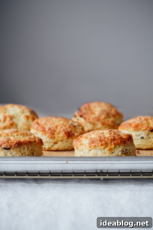 Irish Soda Bread Scones These Irish Soda Bread Scones are fluffy, lightly sweetened, filled with plump golden raisins, and pair perfectly with some butter and jam!