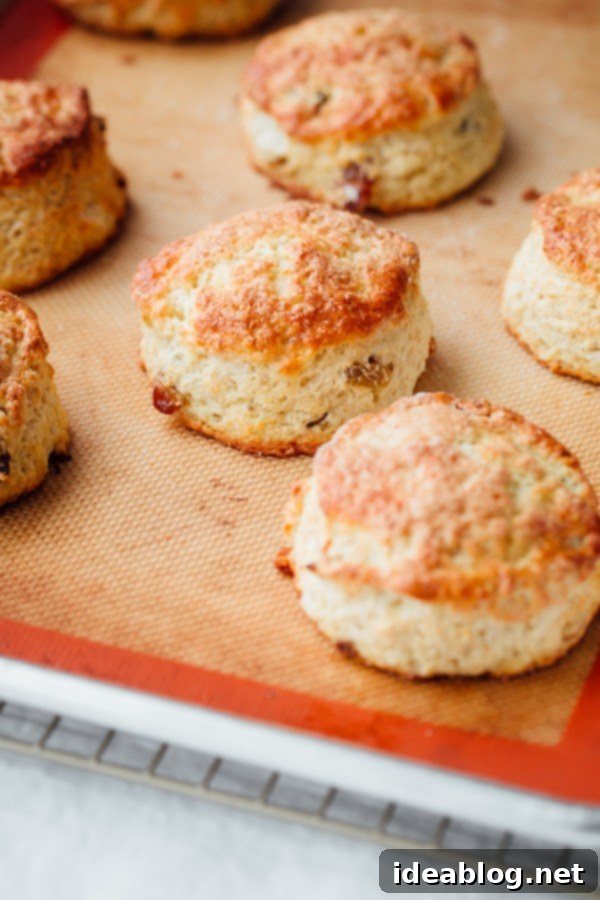 Irish Soda Bread Scones These Irish Soda Bread Scones are fluffy, lightly sweetened, filled with plump golden raisins, and pair perfectly with some butter and jam!