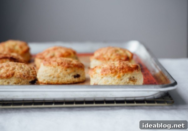 Irish Soda Bread Scones These Irish Soda Bread Scones are fluffy, lightly sweetened, filled with plump golden raisins, and pair perfectly with some butter and jam!