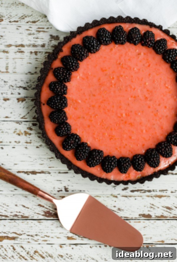 Delicious Triple Citrus Tart with Chocolate Crust and Berries Triple Citrus Tart with Fresh Blackberries and a Dark Chocolate Crust