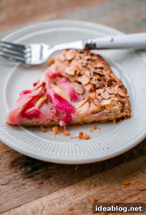 Sun-Kissed Rhubarb Almond Galette 4 A beautifully baked Whole Grain Rhubarb Galette with Orange Frangipane, featuring a golden, rustic crust and a vibrant, bubbly filling.