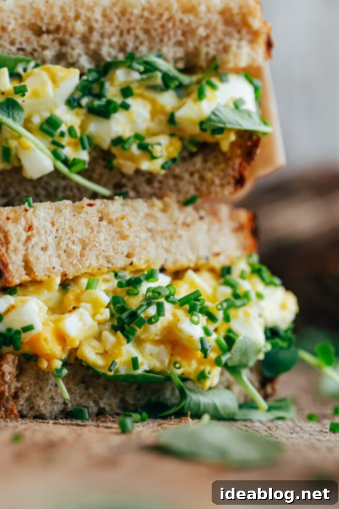 Creamy Egg Salad Sandwich 7 Egg Salad Sandwich