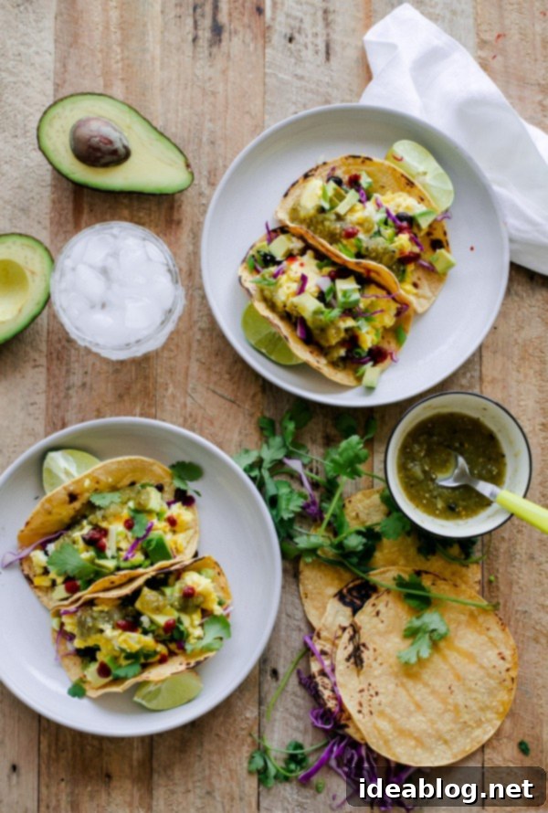 Vegetarian Breakfast Tacos - the BEST breakfast tacos! Cheesy soft scrambled eggs in charred corn tortillas, topped with scallions, black beans, cabbage, avocado, and salsa. Serve as a delicious easy vegetarian main course for breakfast, lunch, or dinner! #vegetarian #tacos #breakfast #eggs #recipe #abeautifulplate Delicious Vegetarian Breakfast Tacos with cheesy scrambled eggs and fresh toppings