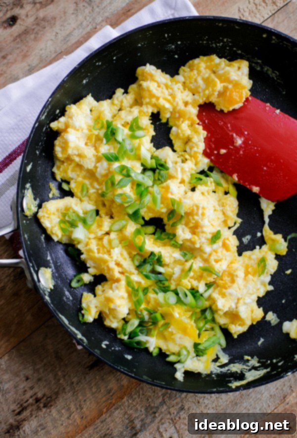 Vegetarian Breakfast Tacos - the BEST breakfast tacos! Cheesy soft scrambled eggs in charred corn tortillas, topped with scallions, black beans, cabbage, avocado, and salsa. Serve as a delicious easy vegetarian main course for breakfast, lunch, or dinner! #vegetarian #tacos #breakfast #eggs #recipe #abeautifulplate Close-up of cheesy scrambled eggs topped with fresh scallions for breakfast tacos