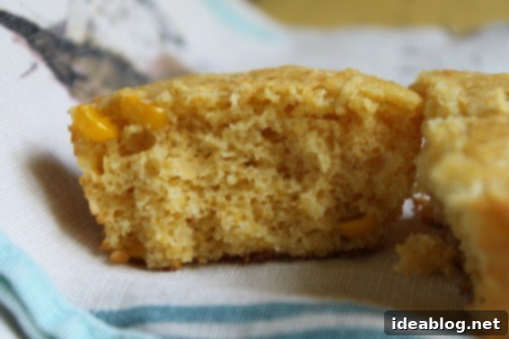 Golden Buttermilk Corn Muffins 4 Buttermilk Corn Muffin Crumb