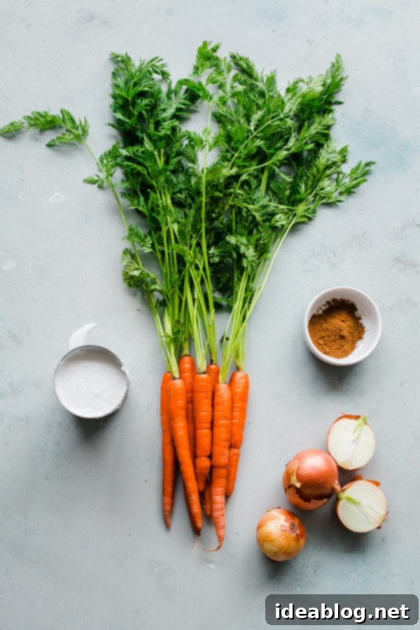 Vegan Garam Masala Carrot Soup. This easy, creamy soup comes together in less than 45 minutes, using just a sheet pan and blender. Whole Carrots Onions and Spices